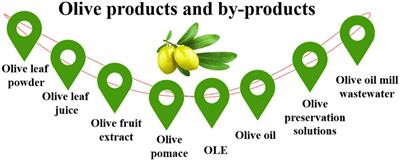 Frontiers | Valorizing the usage of olive leaves, bioactive